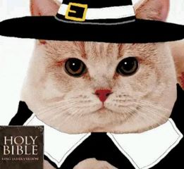 would he lie to you, baby?