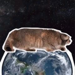alien manul