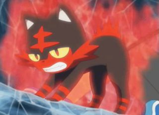 litten
