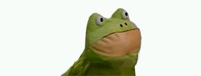 frog_gif
